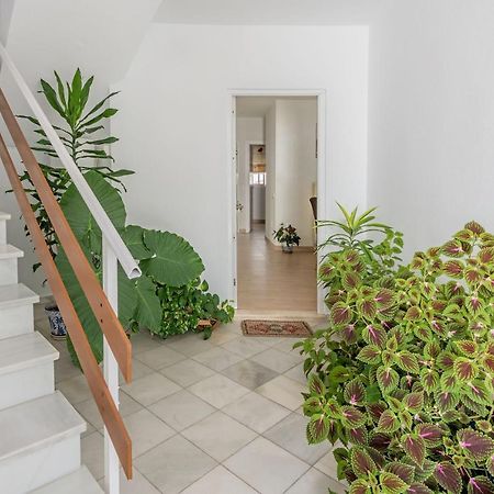 Apartamento Los Naranjos En Vejer Vejer de la Frontera Zewnętrze zdjęcie
