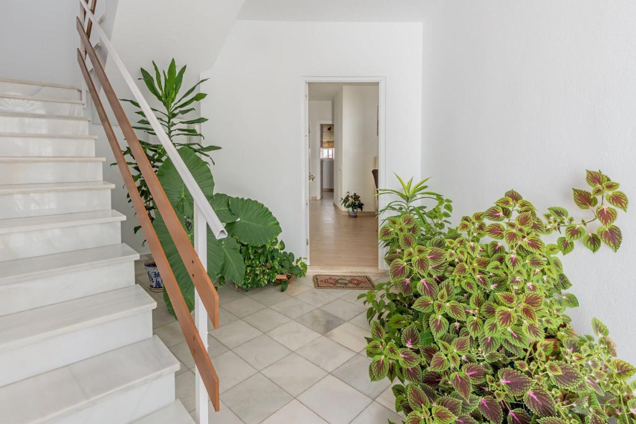 Apartamento Los Naranjos En Vejer Vejer de la Frontera Zewnętrze zdjęcie